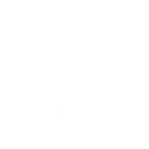 Mailchimp Email Marketing Partner